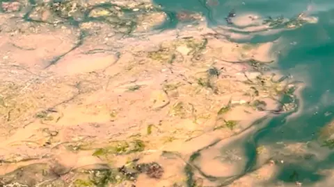 On the right is turquoise water and on the left is a bright yellow/orange bloom of water 