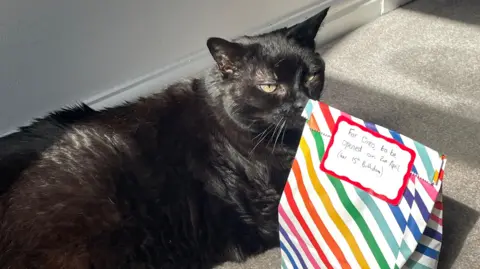 Hannah Cleaver A black cat with green eyes is laying next to a rainbow striped paper bag that says 'for Oreo, to be opened on 2nd April (her 15th birthday).'