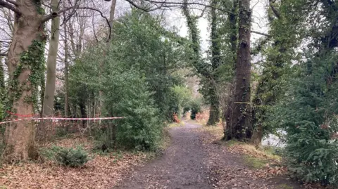 BBC Trees at Poynton Pool