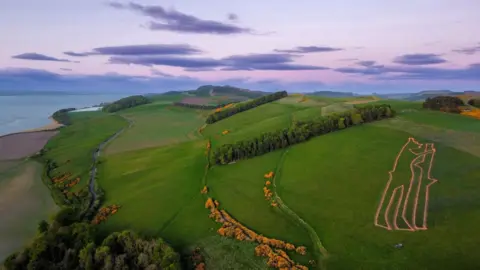 Matthew Ross An aerial view of a hill with a very large burning bear-shape on the ground