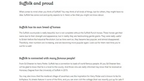 Trading Standards A screen shot of the fake university website