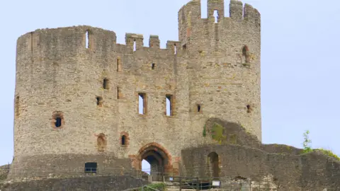 Dudley Castle can be seen in the image with light brown brickwork and an archway