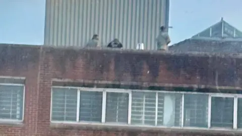 Other The blurred shapes of three people seen on top of a red brick block with large windows.