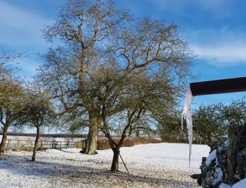 Michael Green Combe following a hard frost on Tuesday
