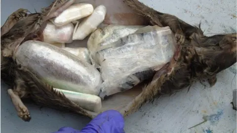 Ministry of Justice drugs in dead rat