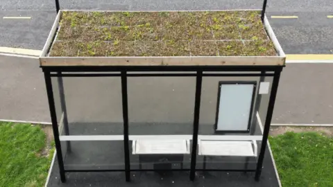 Newcastle City Council (via LDRS) A bus shelter with wildflowers, arranged in linking compartments, on its roof