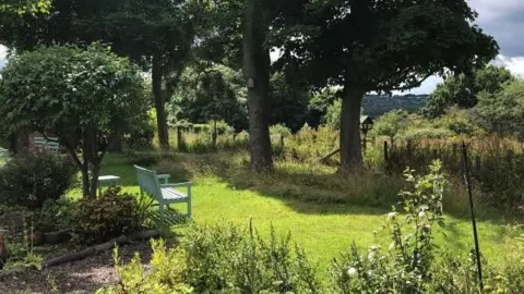 Hospice UK The hospice grounds. There's a greenish-blue bench sitting in a patch of grass. Trees and plants surround the grass.