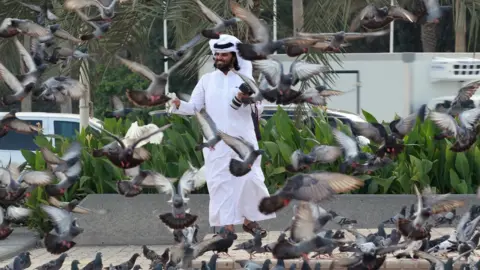 Reuters A man looks at pigeons at a market in Doha, Qatar