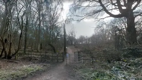 Google Crackley Woods, Warwickshire