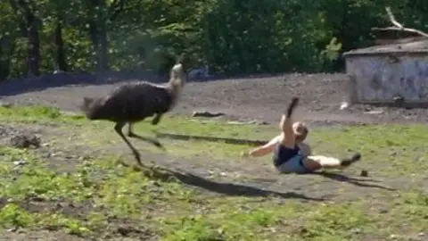 A topless man fallen on a patch of ground with his legs in the air as an emu approaches him