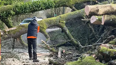 BBC Man wearing black top with red cleaves and protective helmet cuts a fallen tree