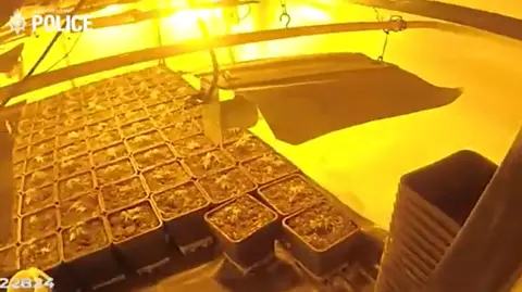 A police issued photograph of large plant pots under bright yellow light. 