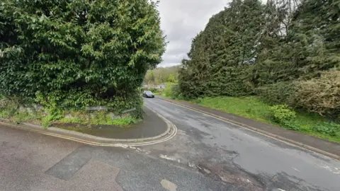 Screenshot of Coombeshead Road, Newton Abbot The image shows a large bush with a road sign reading "Coombeshead Road".