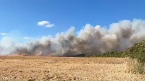 Smoke billows into the sky from a field used for farming. 