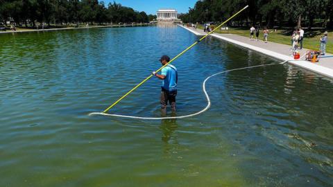Getty Images Workers with long poles clean the pool with the Lincoln Monument in the background