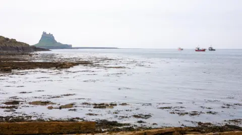 Will Perrett/Getty The castle and harbour from the Common, Lindisfarne