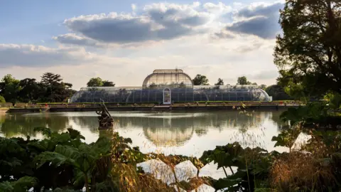 PA Media Wide shot of the pond in front of Kew's Palm House as the sun rises