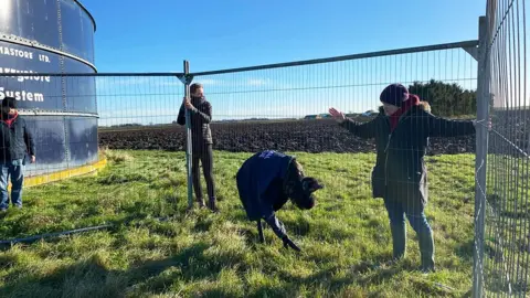 Wiggles the emu penned in a grass field by steel fencing held by members of the rescue team