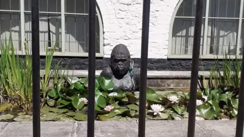 Chris Moss The plastic gorilla