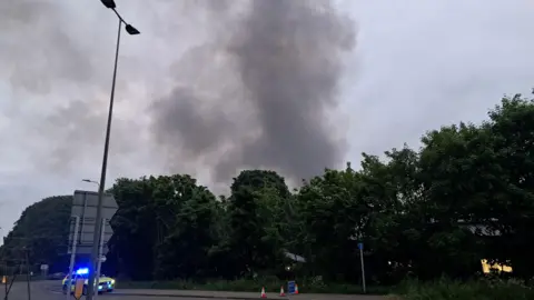 Smoke pouring in the sky above trees