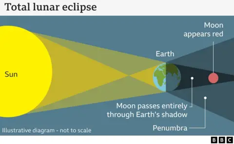 This is an illustrative diagram explaining a total lunar eclipse.   The diagram shows the Sun on the left, casting light that is blocked by Earth in the center. The Earth's shadow extends to the right, where the Moon passes entirely through it.   The diagram labels the different parts of the shadow:  A dark central shadow where the Moon appears red due to the scattering of sunlight in Earth's atmosphere.  Penumbra (lighter outer shadow), where only partial shading occurs.  The Moon is shown on the right, appearing red due to the total eclipse.  The BBC logo is present, and a note states that the diagram is not to scale.