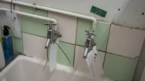 Phil Coomes A bathroom in the school Rex lives in