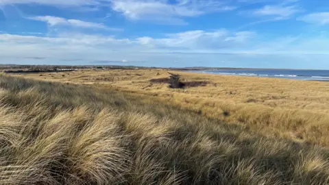 The picture shows extensive dunes with the sea in the distance 