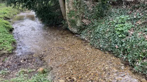 A narrow, shallow, clear stream - with gravel on its bed - banked by foliage on both sides