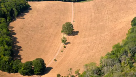 An aerial view of dried fields in Kent.