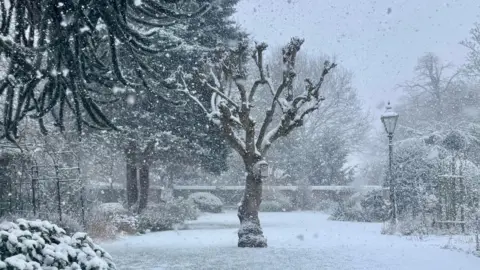 Shadowflower/BBC Weather Watchers A snowy scene in someone's garden. A lone tree stands in the middle of the garden, surrounded by other trees on the edge with bushes and some lamps.