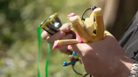 Ben Moore/BBC Someone holding three catapults in their hands which are wooden with rubber bands