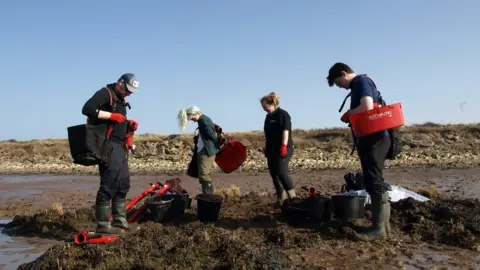 Yorkshire Wildlife Trust People on a beach