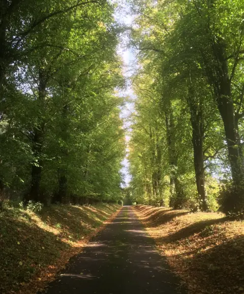 Chantal Embers Beautiful autumn colours at Boars Hill