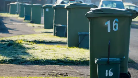 Getty Images A row of green bins at the edge of the pavement. There are patches of grass in between each bin.