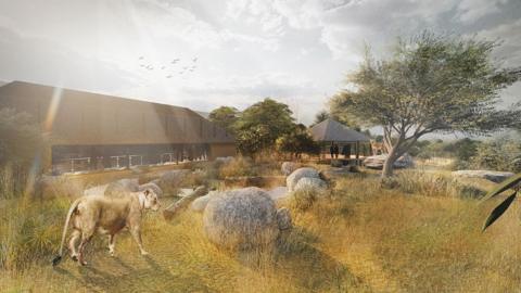A graphic showing the new habitat as it would look, with shrubland, rocks and trees next to a viewing building 