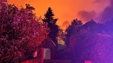 An orange sky can be seen above trees