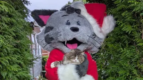 Shropshire Cat Rescue A large mascot resembling a grey cat with black ears wearing a santa costume holding a striped brown and white cat beside large green bushes