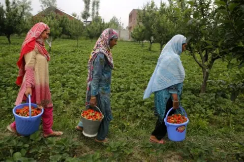 EPA Kashmiri women carry buckets filled with harvested strawberries at a field on the outskirts of Srinagar, the summer capital of Indian Kashmir, 16 May 2017