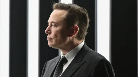 Getty Images Tesla chief executive Elon Musk.