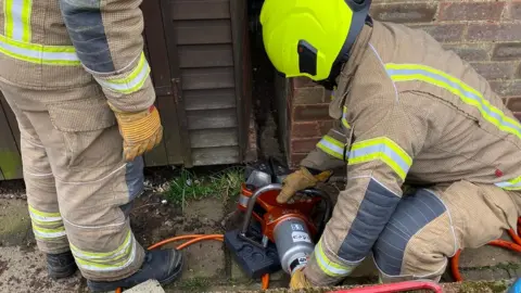 Essex County Fire and Rescue Service Firefighters rescuing a puppy in Hadleigh, Essex