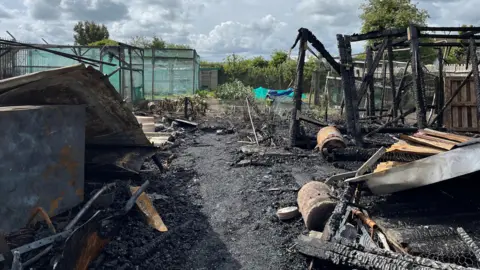 Clare Worden/BBC Burnt and charred wood where sheds and greenhouses previously stood at an allotments. There is rubble left from the damage.