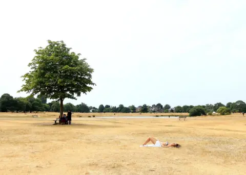 Amer Ghazzal/REX/Shutterstock A woman sunbathes on the burnt dry grass on Wimbledon Common in London.