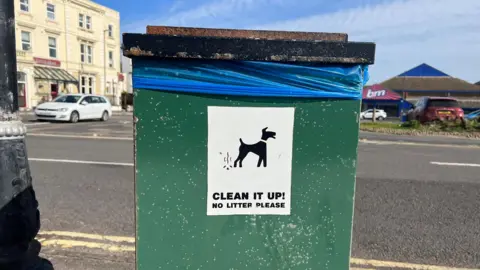 BBC A green dog poo bin with a blue bin bag showing and a black lid. It has a sticker showing a dog fouling. It reads 'Clean it up! No litter please'. Behind it is a road, cars and buildings. 