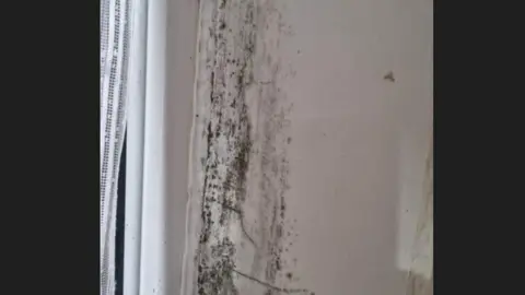 Mould near window