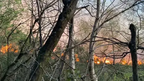 Heath fire seen through trees