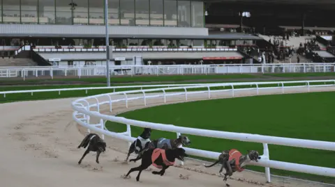 Fortitude Communications Five greyhounds are taking part in greyhound racing at Dunstall Park, with a stand in the background.