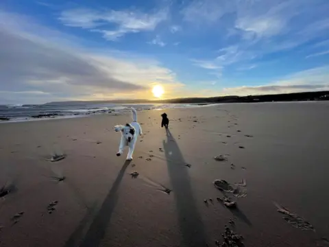 Graeme Hill Dogs on beach