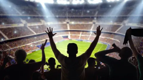 Fans in the stands of a stadium with the pitch visible in the background