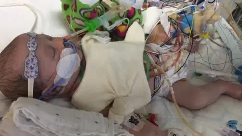 Ashley Hardy Benjamin Rayner