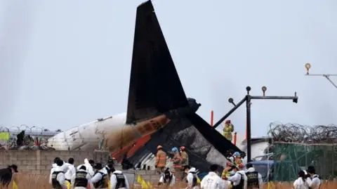 EPA Firefighters, some in brown outfits and some in white and black, search at the wreckage of the Jeju Air aircraft. Their backs at to the camera. The wreckage is barely identifiable as a plane apart from the tail